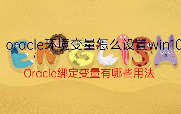 oracle环境变量怎么设置win10 Oracle绑定变量有哪些用法？